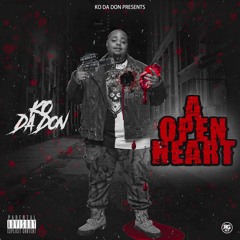 Diary Of A Open Heart