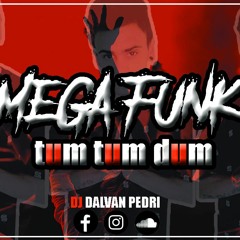 MEGA FUNK TUM TUM DUM ( DJ DALVAN PEDRI )