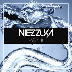 FS376 : Nielzuka - Yeah! (Original Mix)
