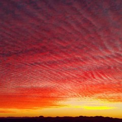 Red Dusk
