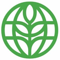 Listen To The Land | Epcot Entrance Loop (1982)