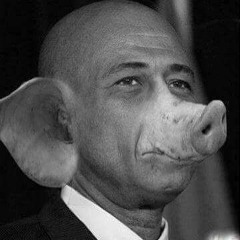 Sweet Micky Michel Martelly Pot Dèyè