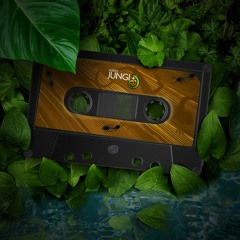 In Jungle We Trust: Jungle/Jump Up/Rollers pt.4