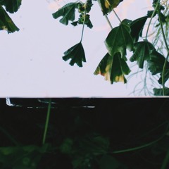 HOLLOW
