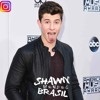 Shawn Mendes In My Blood Mp3