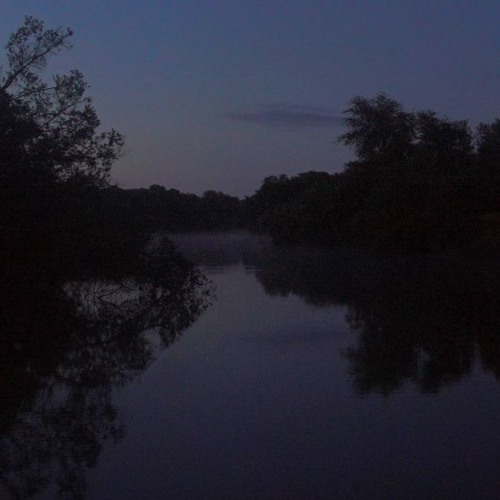 Above and below a darkening waterhole