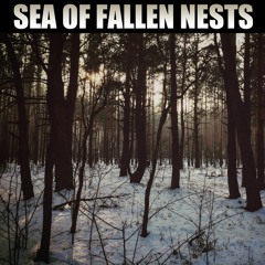 Disappeared Completely - Sea Of Fallen Nests