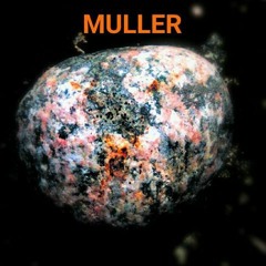 Muller [Ft. Trias Fruit]