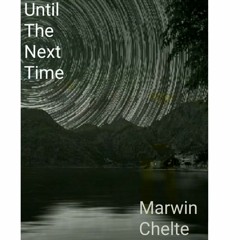 Marwin Chelte -- Until The Next Time