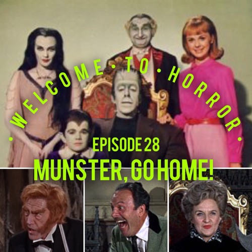 028 Munster Go Home