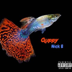 Nick B - Guppy