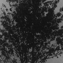 threeview