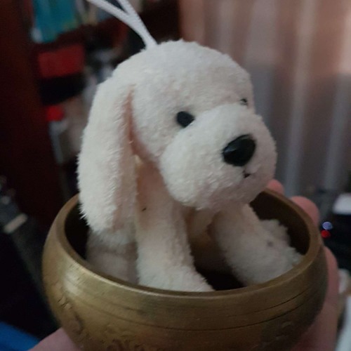 The Good Ship Baunss