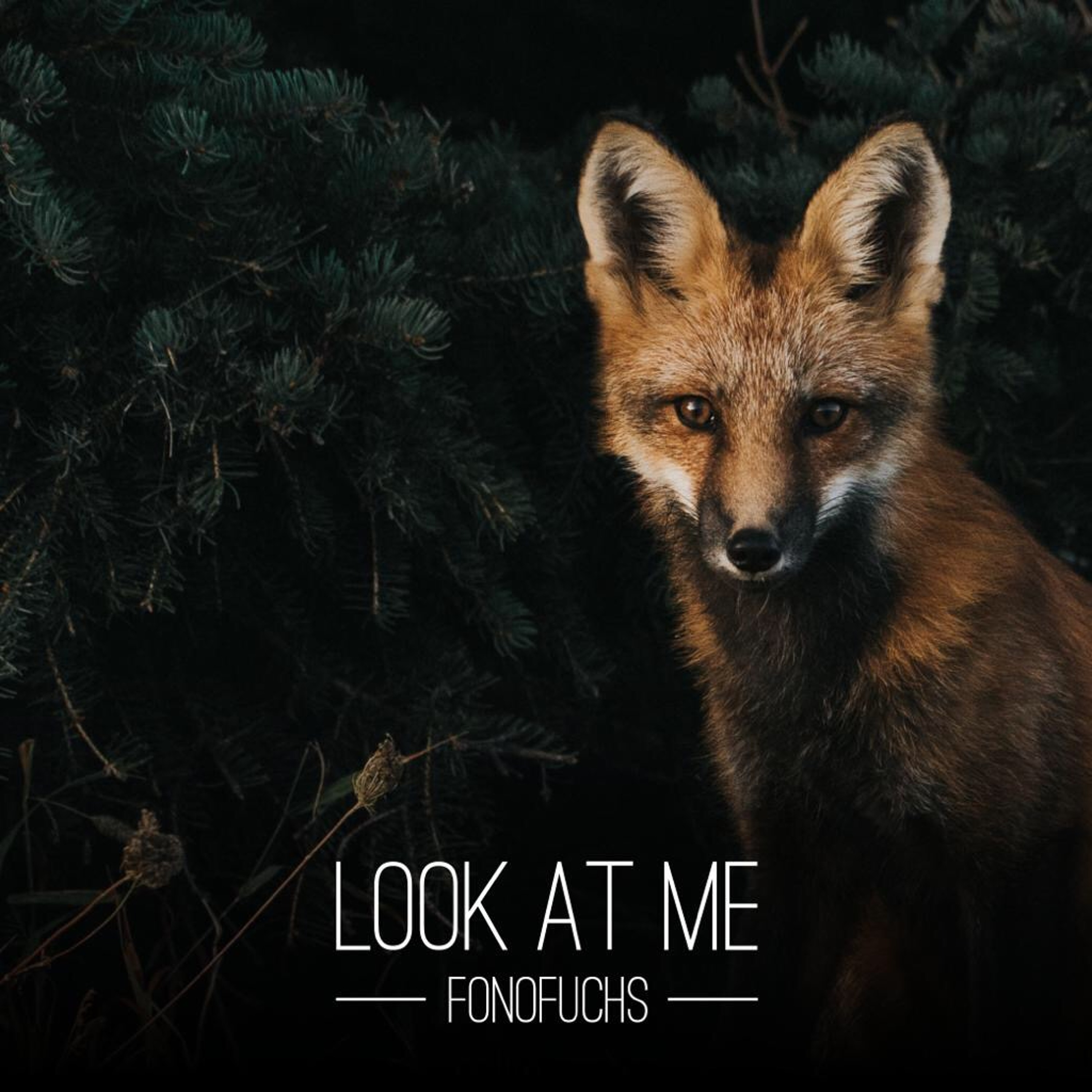 FonoFuchs