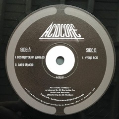 DJ Darkside - Destroyer Of Worlds (AcidCore Records ACE001)