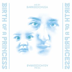 Birth Of A Princess / Barikeedohusa（バリケード封鎖）