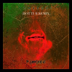 The Chainsmokers - Somebody (Ft. Drew Love) (Hot Tub Remix)