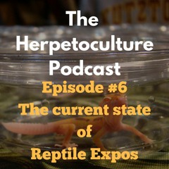 The Current State of Reptile Expos