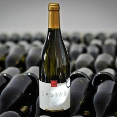 Rothschild Conspiracy