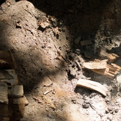 Wednesday Groove (Ljones | Warp Wun)