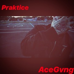 Praktice-Acegvng