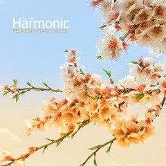 Relaxing Piano Music - BlueRoom