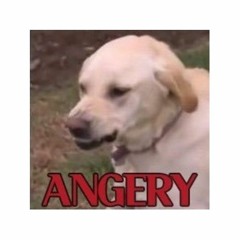 If You Get Pee On The Toilet Seat And Dont Wipe It Off Then I Automatically Hate You