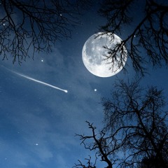 ShOkEy - October Nights Echelon White Records