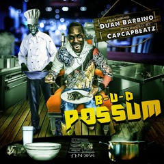 B-U-D Possum- Ft Duan Barrino