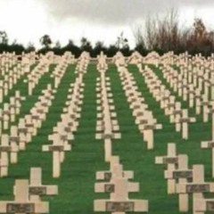 Green Fields of France