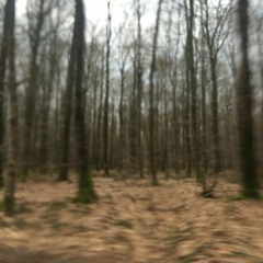 Mechanical Supernate SKAM2