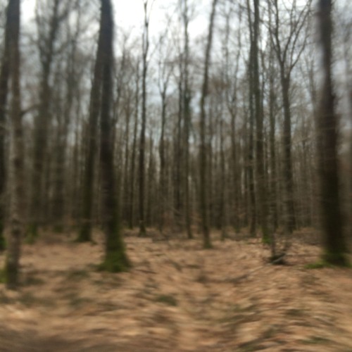 Mechanical Supernate SKAM2