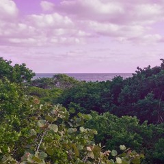 Baby Shaker (feat. Jackson Potter)