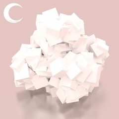 Poshon - Digital Spaghetti