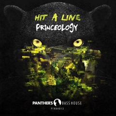 Princeology - Hit A Line