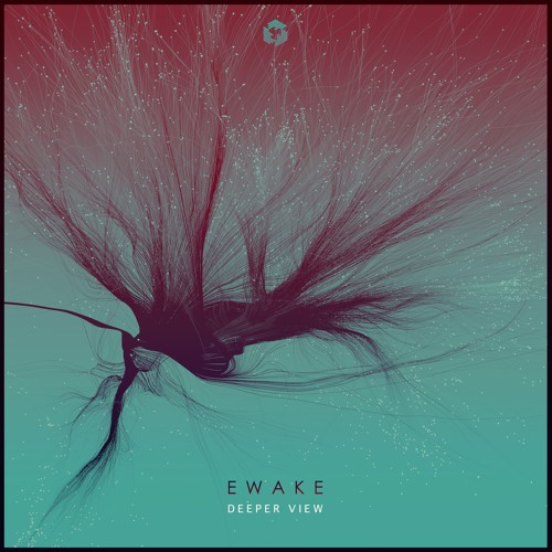 Ewake - Wisely Grounded