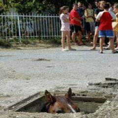 One Night Pony - Sonder x Ginuwine