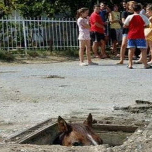 One Night Pony - Sonder x Ginuwine