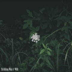 See? We All Got Dreams Too (I Might Be Getting Better At This Whole Music Thing)