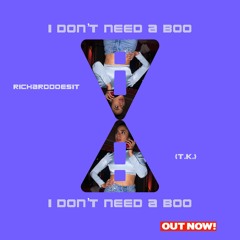 i dont need a boo (prod. fly melodies) - richarddoesit x (t.k.)
