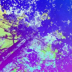 5Rhythms Wave DJ Music