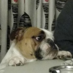 Untogether (Courtney Barnett & Kurt Vile)