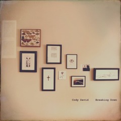 Breaking Down - Cody David