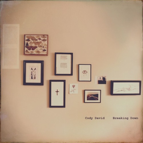 Breaking Down - Cody David