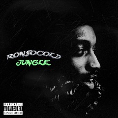 RonSoCold - JUNGLE (Prod. Pierre Bourne)
