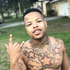 Fly Jit - Young