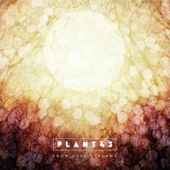 Plant43 - From Deep Streams - Side A/B - SHIPLP07