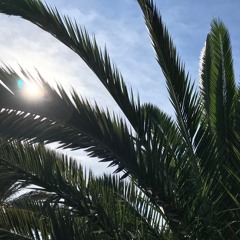 Beautiful Mercy