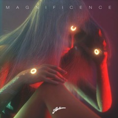 Magnificence & Seth Hills vs. Matisse & Sadko - Fire vs. Grizzly (Timo$ Edit)