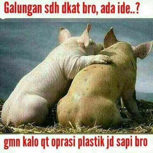YONG SAGITA Dkk - Lawar Galungan